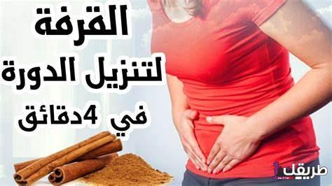 كيف أنزل الدورة؟ تعرفي على الطرق الفعالة لتنزيل الدورة وأسبات التأخير 7 OIP 29 1
